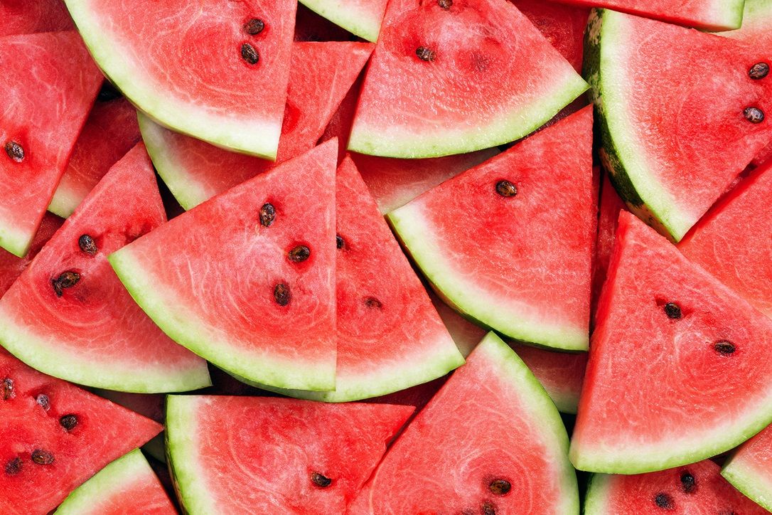 Introduction: Growing and Irrigating Watermelon