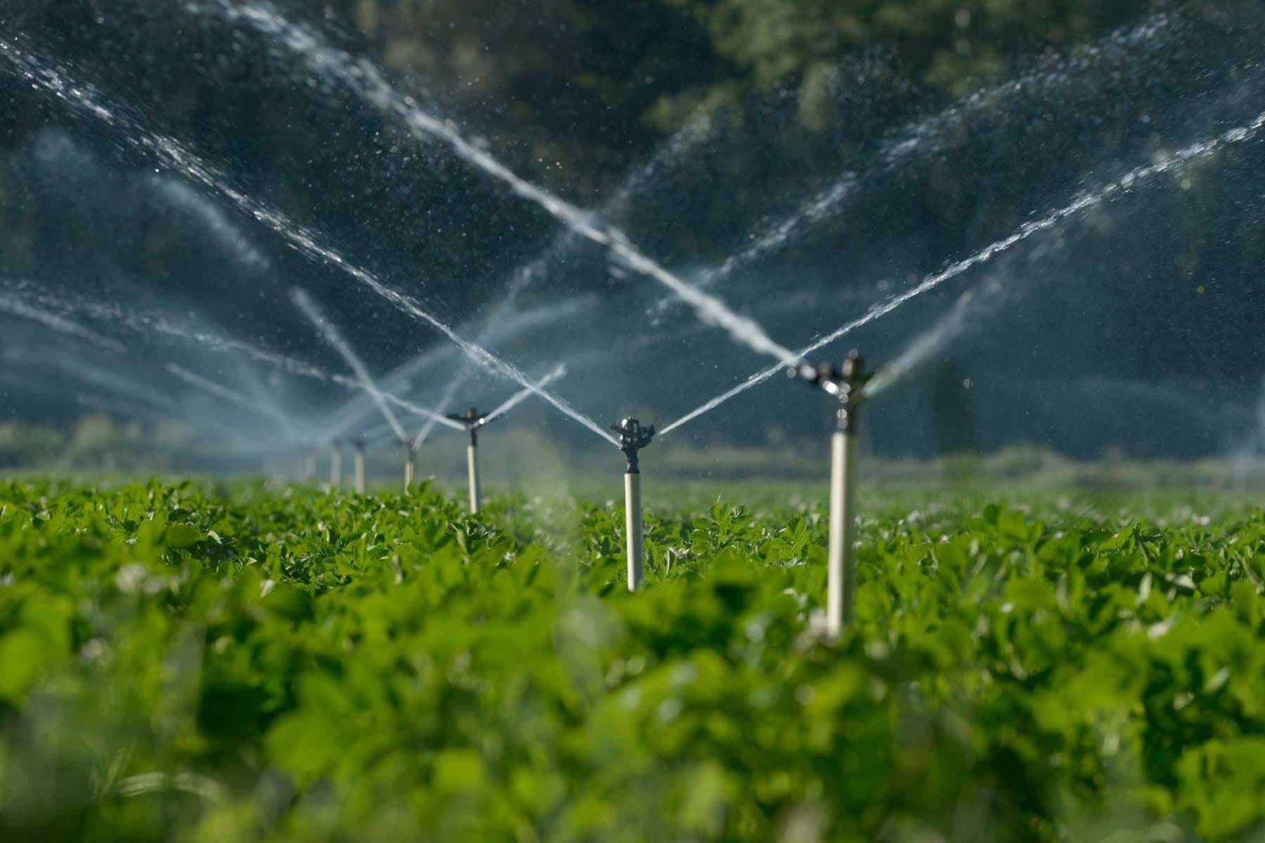 Sprinklers