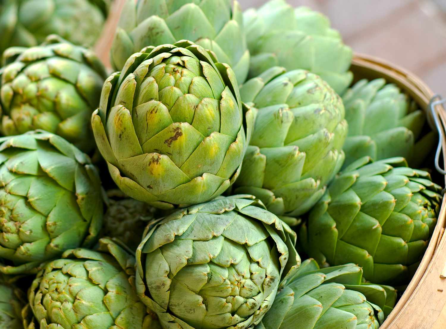 Growing and Irrigating Artichoke: A Comprehensive Guide