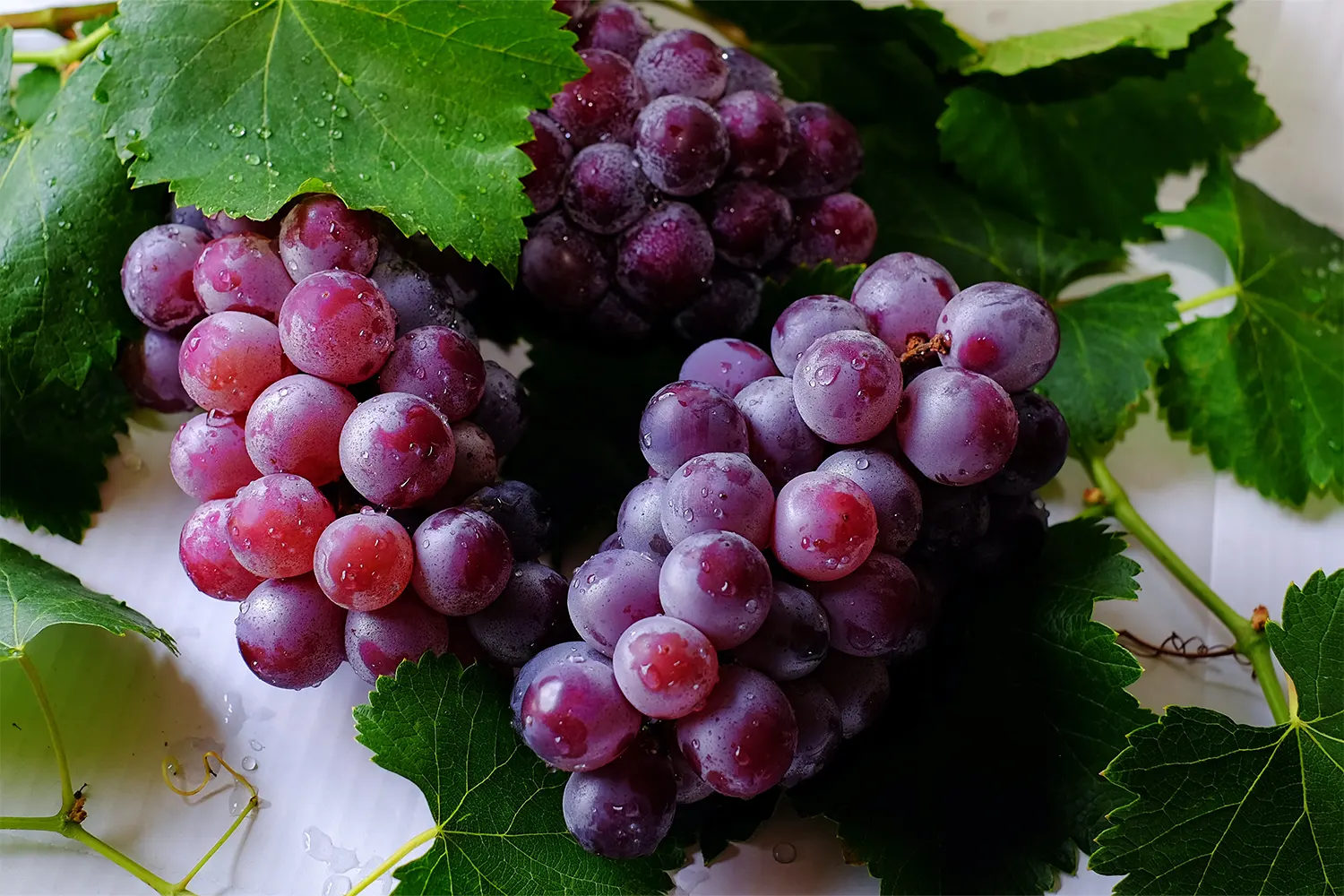 Cultiver et irriguer les raisins : un guide complet