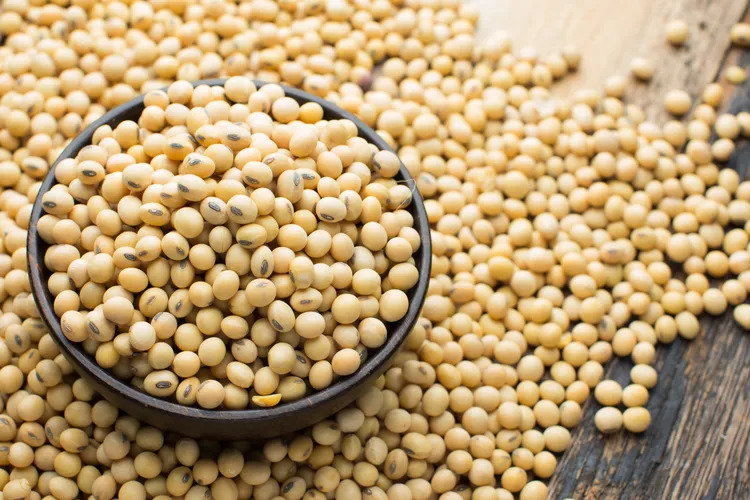 Growing and Irrigating Soy Beans: An Economically Efficient Approach