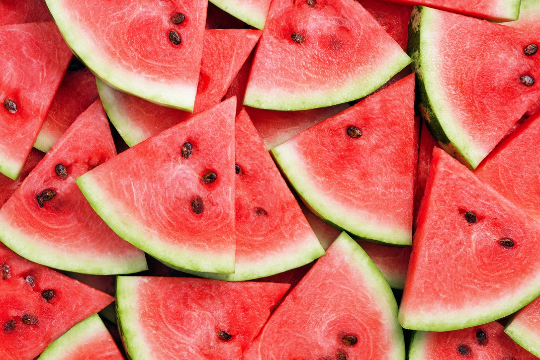 Inleiding: Watermeloen kweken en irrigeren